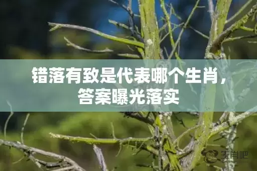 错落有致是代表哪个生肖，答案曝光落实插图