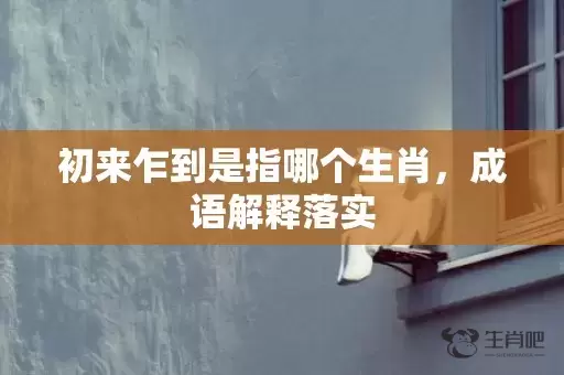 初来乍到是指哪个生肖，成语解释落实插图