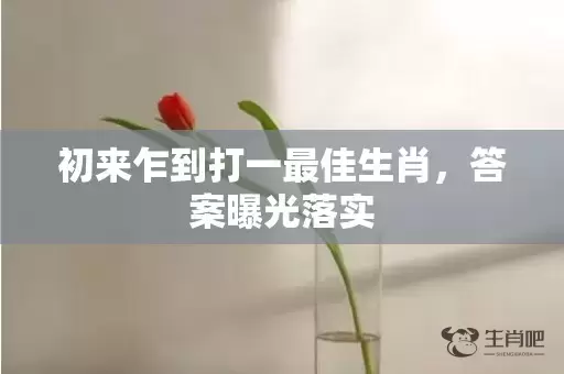 初来乍到打一最佳生肖，答案曝光落实插图