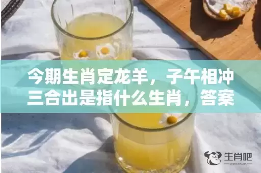 今期生肖定龙羊，子午相冲三合出是指什么生肖，答案曝光落实插图