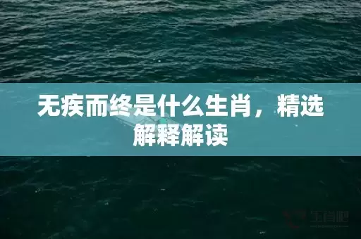 无疾而终是什么生肖，精选解释解读插图