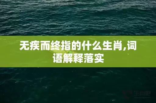 无疾而终指的什么生肖,词语解释落实插图