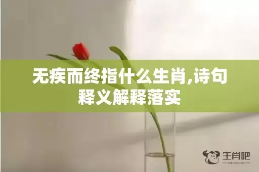 无疾而终指什么生肖,诗句释义解释落实插图