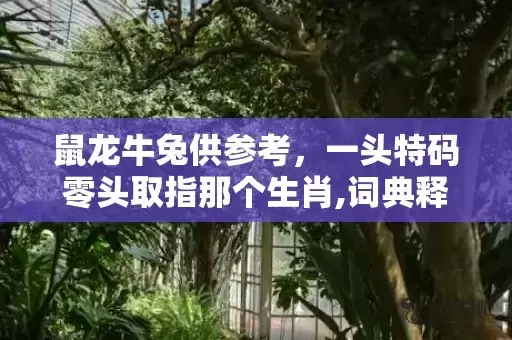 鼠龙牛兔供参考，一头特码零头取指那个生肖,词典释义解释落实插图