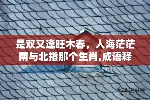 是双又逢旺木春，人海茫茫南与北指那个生肖,成语释义解释落实插图