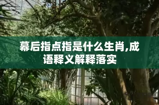 幕后指点指是什么生肖,成语释义解释落实插图