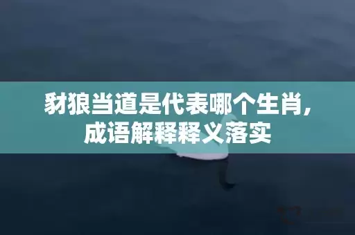 豺狼当道是代表哪个生肖,成语解释释义落实插图