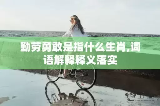 勤劳勇敢是指什么生肖,词语解释释义落实插图