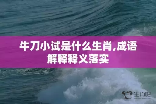 牛刀小试是什么生肖,成语解释释义落实插图
