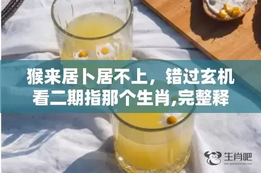 猴来居卜居不上，错过玄机看二期指那个生肖,完整释义解释落实插图