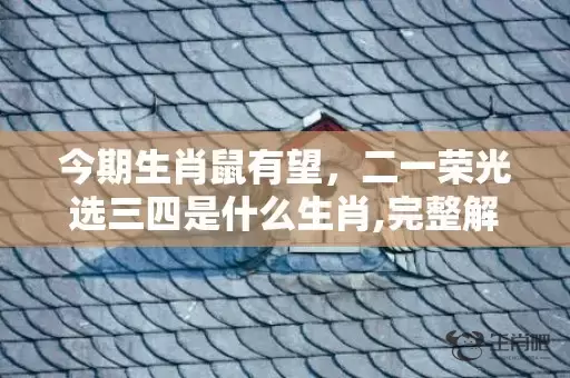 今期生肖鼠有望，二一荣光选三四是什么生肖,完整解释落实插图