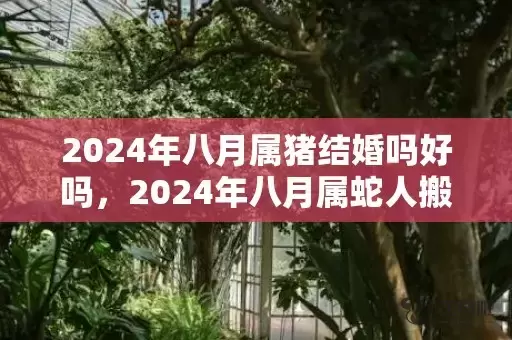 2024年八月属猪结婚吗好吗，2024年八月属蛇人搬家吉日有哪些插图