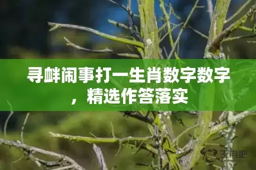 寻衅闹事打一生肖数字数字，精选作答落实插图