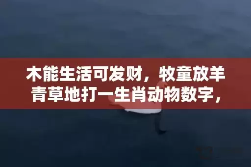 木能生活可发财，牧童放羊青草地打一生肖动物数字，最新全面解释落实插图