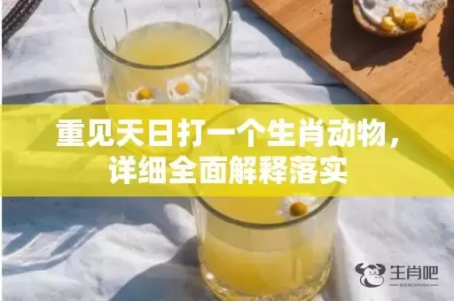 重见天日打一个生肖动物，详细全面解释落实插图