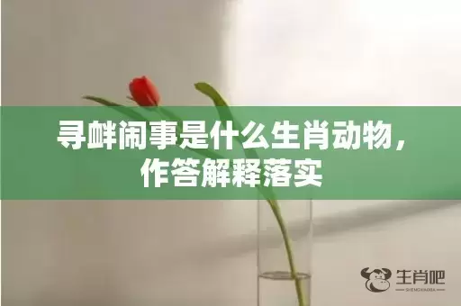 寻衅闹事是什么生肖动物，作答解释落实插图