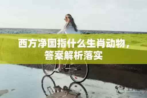 西方净国指什么生肖动物，答案解析落实插图