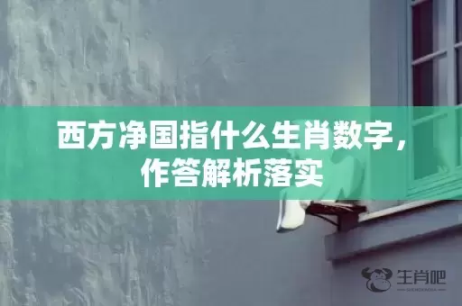 西方净国指什么生肖数字，作答解析落实插图