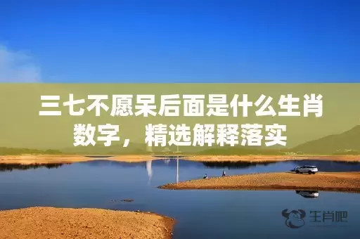 三七不愿呆后面是什么生肖数字，精选解释落实插图