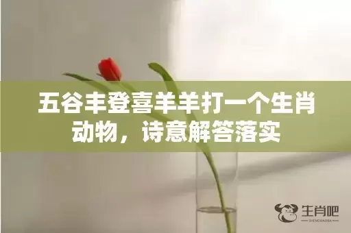 五谷丰登喜羊羊打一个生肖动物，诗意解答落实插图