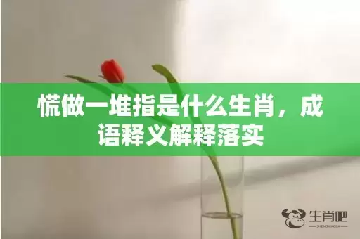 慌做一堆指是什么生肖，成语释义解释落实插图