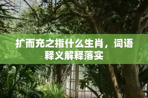 扩而充之指什么生肖，词语释义解释落实插图
