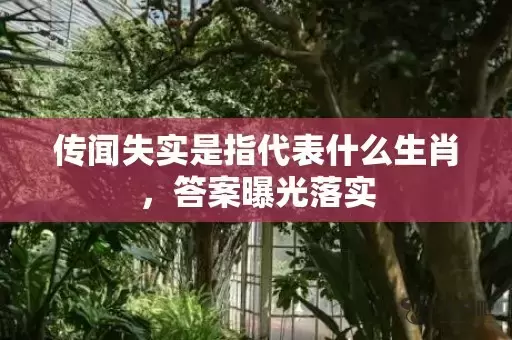 传闻失实是指代表什么生肖，答案曝光落实插图