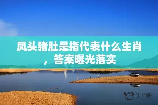 凤头猪肚是指代表什么生肖，答案曝光落实插图