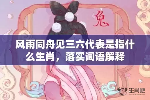 风雨同舟见三六代表是指什么生肖，落实词语解释插图