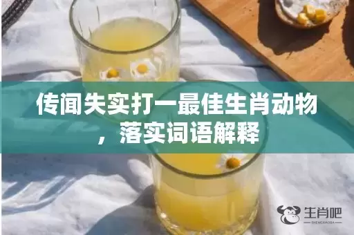 传闻失实打一最佳生肖动物，落实词语解释插图