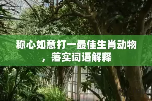 称心如意打一最佳生肖动物，落实词语解释插图