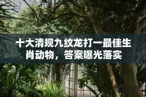 十大清规九纹龙打一最佳生肖动物，答案曝光落实插图