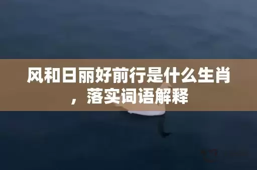 风和日丽好前行是什么生肖，落实词语解释插图