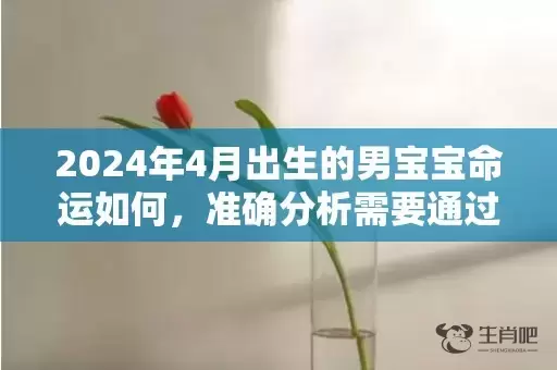 2024年4月出生的男宝宝命运如何，准确分析需要通过几个点插图