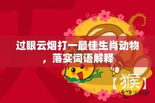 过眼云烟打一最佳生肖动物，落实词语解释插图