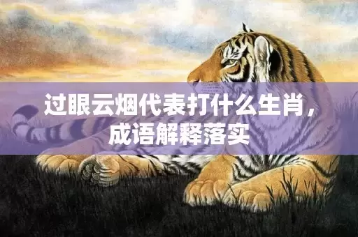 过眼云烟代表打什么生肖，成语解释落实插图