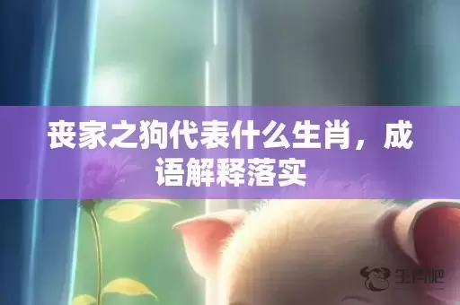 丧家之狗代表什么生肖，成语解释落实插图