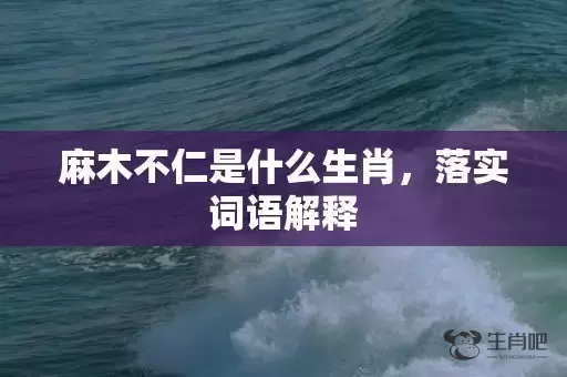 麻木不仁是什么生肖，落实词语解释插图