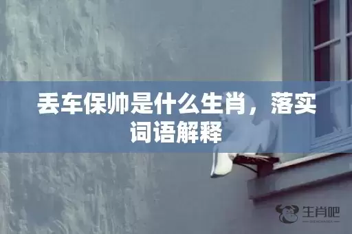 丢车保帅是什么生肖，落实词语解释插图