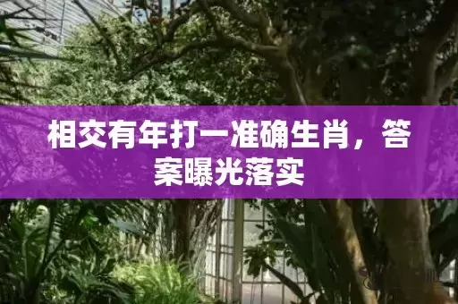相交有年打一准确生肖，答案曝光落实插图