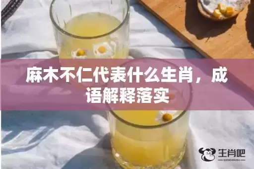麻木不仁代表什么生肖，成语解释落实插图