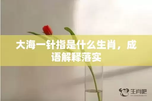 大海一针指是什么生肖，成语解释落实插图