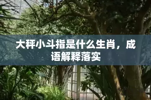 大秤小斗指是什么生肖，成语解释落实插图