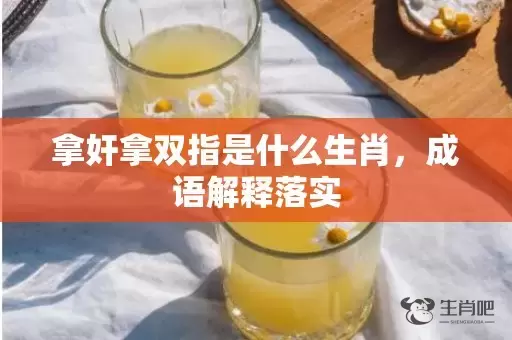 拿奸拿双指是什么生肖，成语解释落实插图