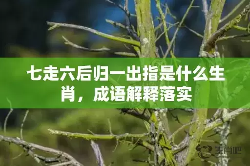 七走六后归一出指是什么生肖，成语解释落实插图