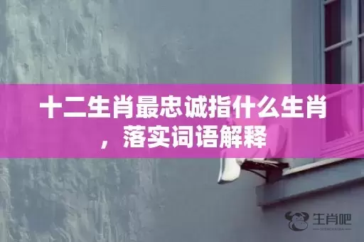 十二生肖最忠诚指什么生肖，落实词语解释插图