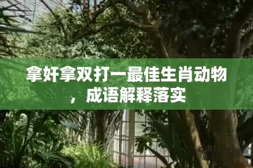 拿奸拿双打一最佳生肖动物，成语解释落实插图