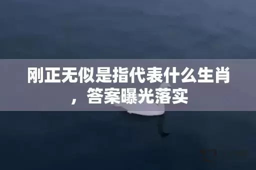 刚正无似是指代表什么生肖，答案曝光落实插图