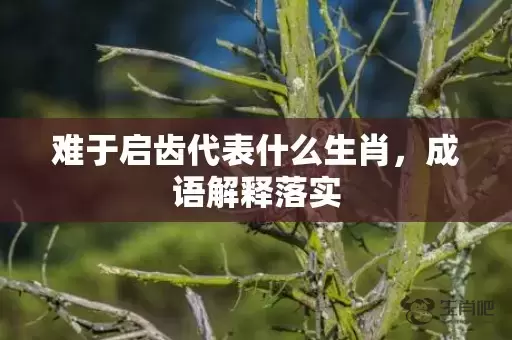 难于启齿代表什么生肖，成语解释落实插图