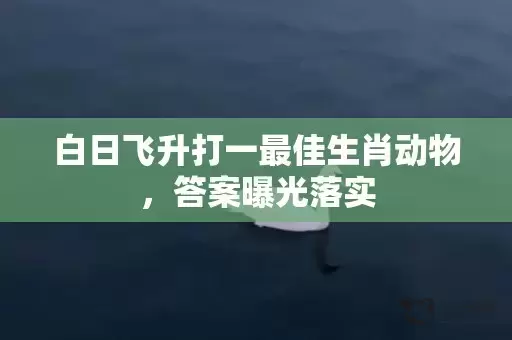 白日飞升打一最佳生肖动物，答案曝光落实插图